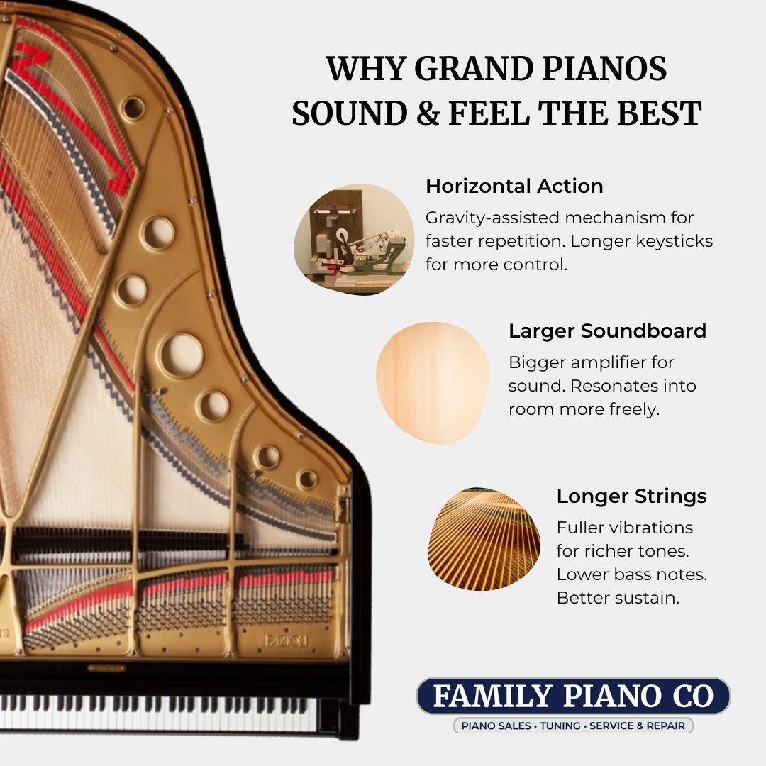 Why Grand Pianos Sound & Feel the Best - Infographic