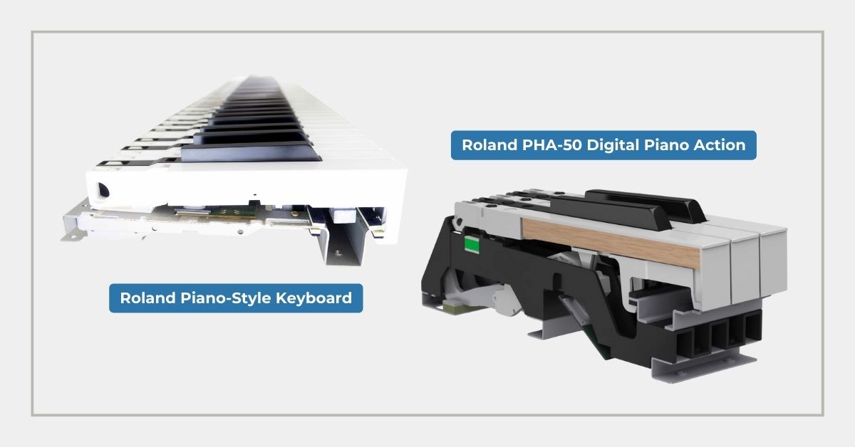Roland Piano-Style Keyboard vs Digital Piano Action